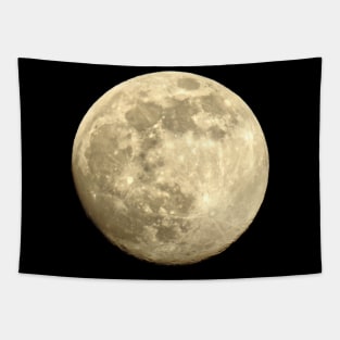 Full moon night sky the moon Tapestry