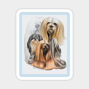 Lhasa Apso Medley Magnet