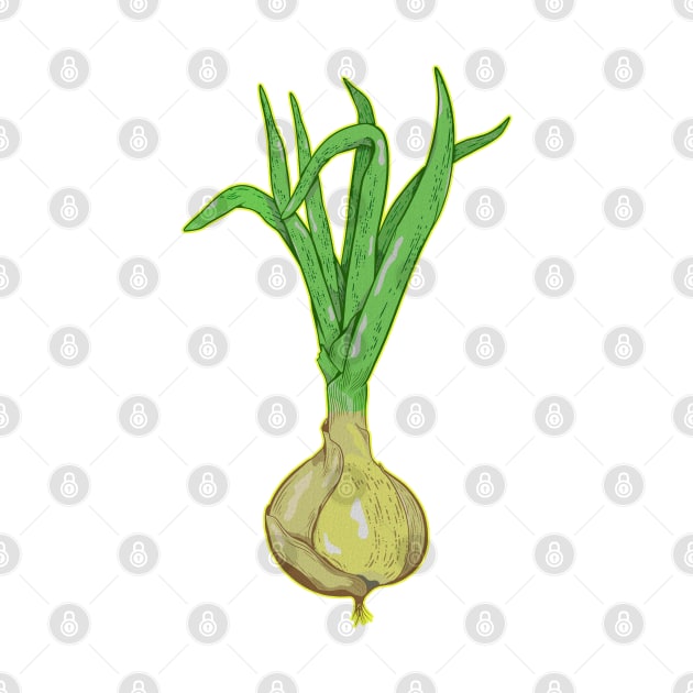 Onion by mailboxdisco