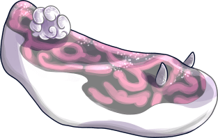 Demigirl Nudibranch Magnet