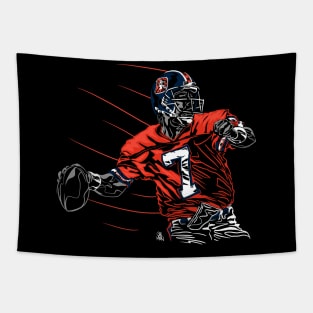 Elway Tapestry