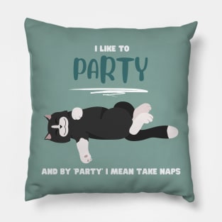 I like to party and by 'party' I mean take naps Pillow