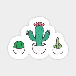 Cactus Plants - Cute Cacti Flowers Magnet