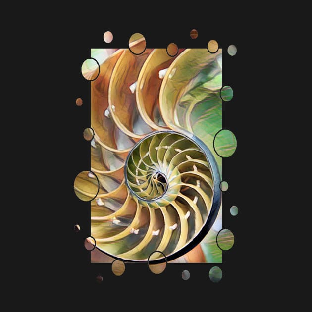 Nautilus Design by PhotoArts