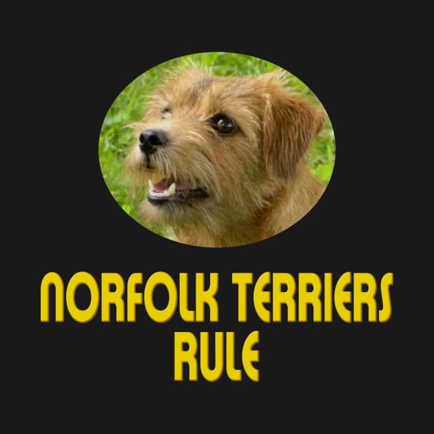 Norfolk Terriers Rule! by Naves