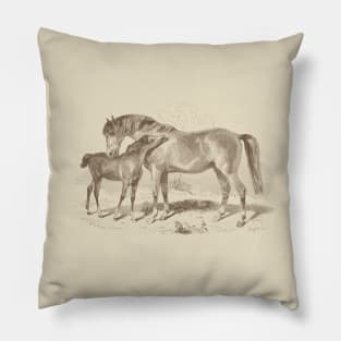 A Foal with Mare - Horses Vintage Illustration Pillow