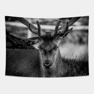 Stag Tapestry