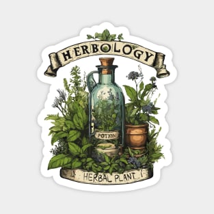 Herbology Vintage Herbs Magnet