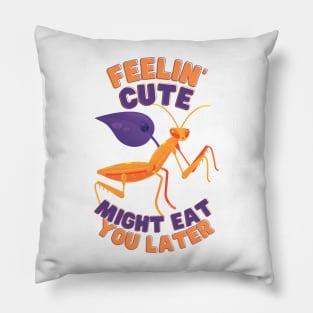 Feelin Cute Might Eat You Later Mantis Pillow