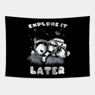 Panda Nap Tapestry