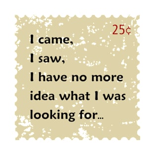 I came, I saw, I have no more idea what I was looking for... T-Shirt