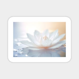 Lotus Flower Petal Nature Serene Calm Magnet