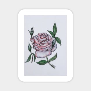 Pink And White Rose Magnet