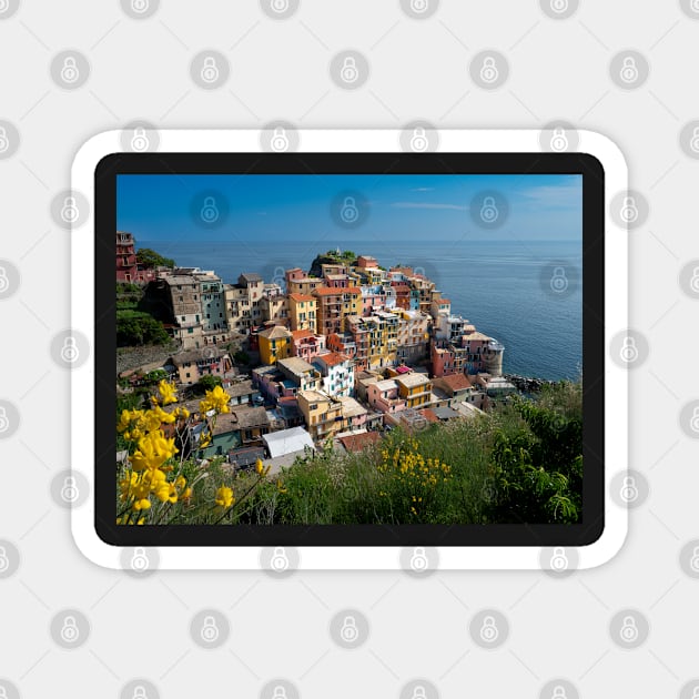 View on the cliff town of Manarola, one of the colorful Cinque Terre on the Italian west coast Magnet by Dolfilms