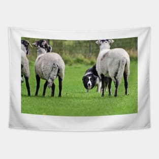 Working Sheepdog Tapestry