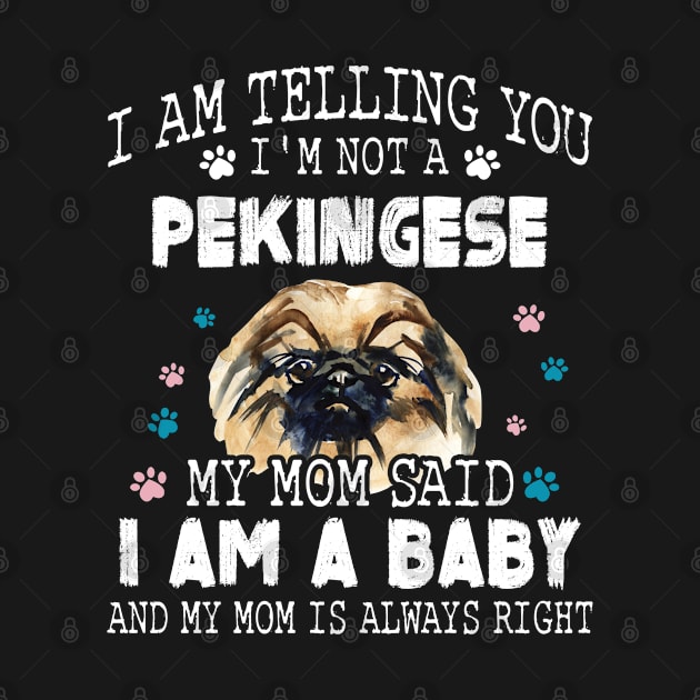 I am telling you, I'm not a pekingese,My mom said I am a baby by designathome