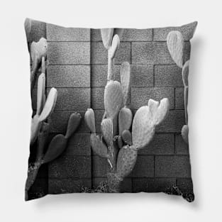 Cacti Pillow