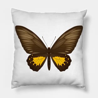 beautiful butterfly Pillow