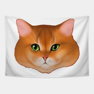 Funny Cat Muzzle Tapestry