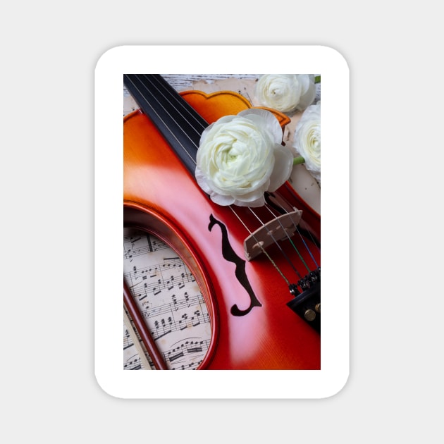 White  Ranunculus On Baroque Violin Magnet by photogarry