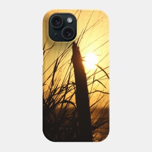 Tropical sunset Phone Case