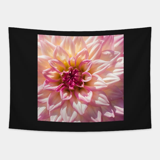 Pink Petal Flower Tapestry by mehdime