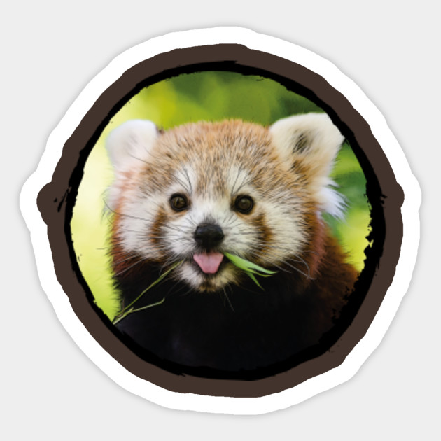 Oil Painted Cute Red Panda Panda Sticker Teepublic Au
