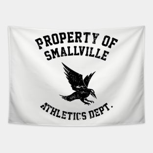 Property of Smallville Tapestry
