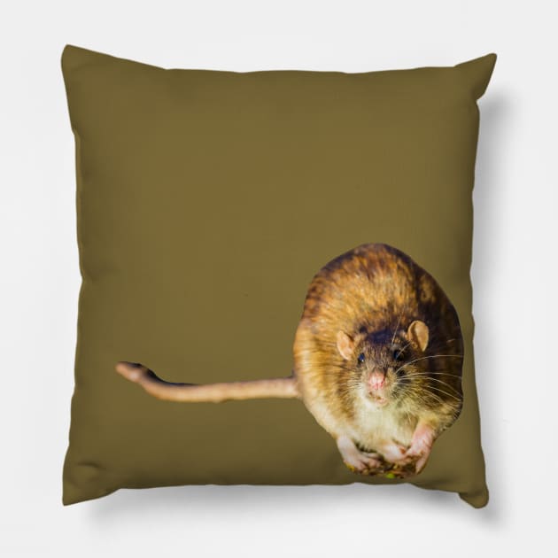 Got some food Mate? Pillow by dalyndigaital2@gmail.com