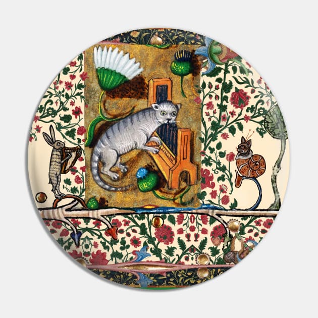 Weird Medieval Bestiary Playing Musical Instruments,Organist Cat Pin by BulganLumini