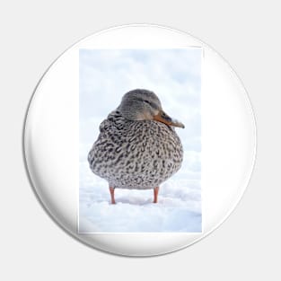 Duck in snow Pin