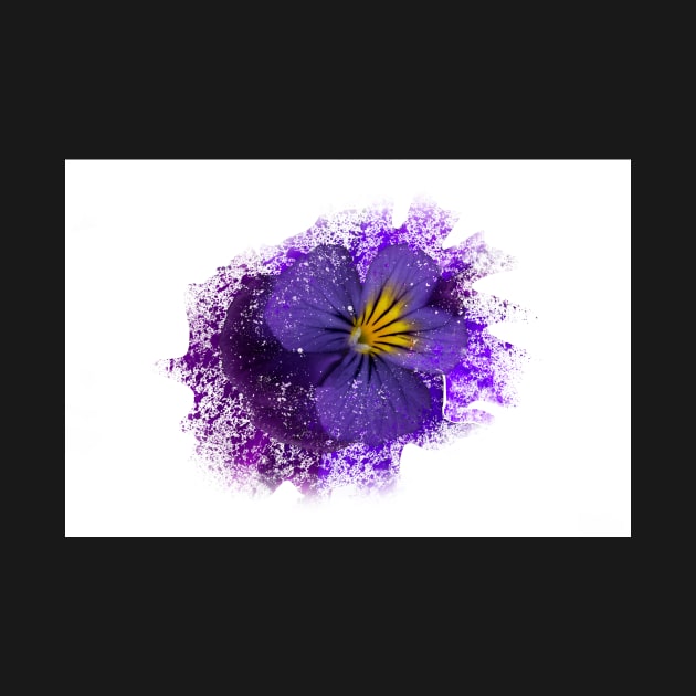 Purple pansy with paint splatter effect by RosNapier