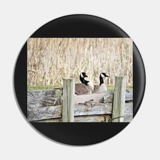 Canada Geese Pair No.5 Pin