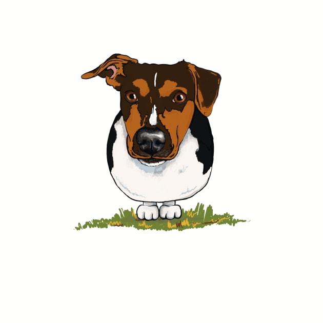 Jack Russell Terrier by archiesgirl