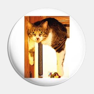 Fenster Cat Pin