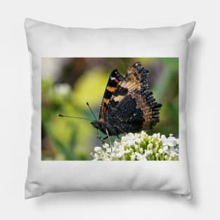 THE PANASONIC FZ  200 PAR OKAIO CREATION Pillow