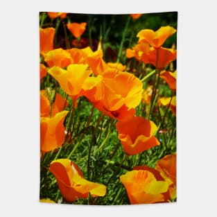 California Poppies Photograph Tapestry