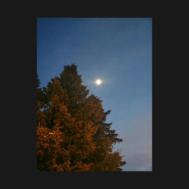 Moon and Tree by Kyarwon