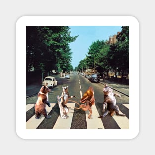 Abbey Road animals Magnet