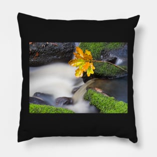 Oak leaf cluster Pillow