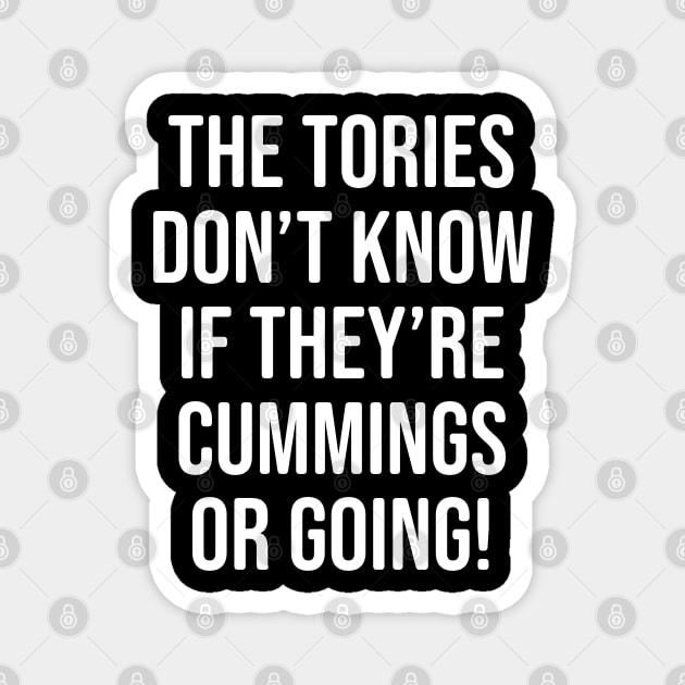 Anti UK Government Gift - The Tories don't know if they're Cummings or going! Magnet by Elsie Bee Designs