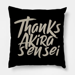 Thanks Akira Sensei Pillow