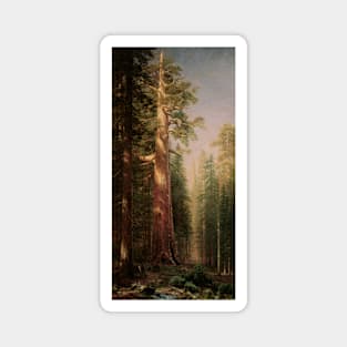 Great Trees, Mariposa Grove, California by Albert Bierstadt Magnet