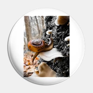 Snail Pin