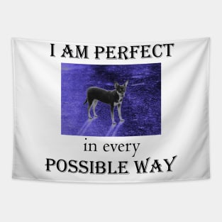 I am perfect in every possible way Tapestry