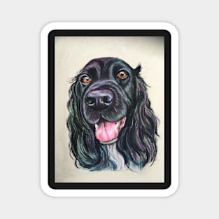 Black Cocker Spaniel Magnet