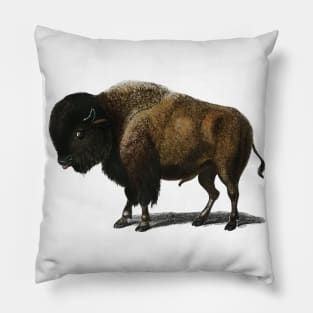 Bison Buffalo Pillow