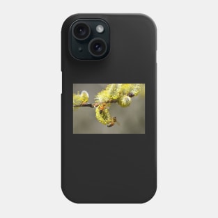 Bees & Cottonwood blooms Phone Case