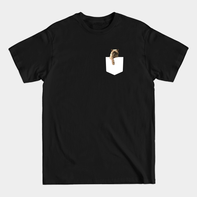 Disover Pocket Cat - Cat - T-Shirt