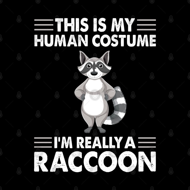 I am really a raccoon by sudiptochy29